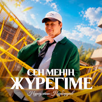 Нурсултан Нурбердиев - Сен Менің Жүрегіме mp3 скачать